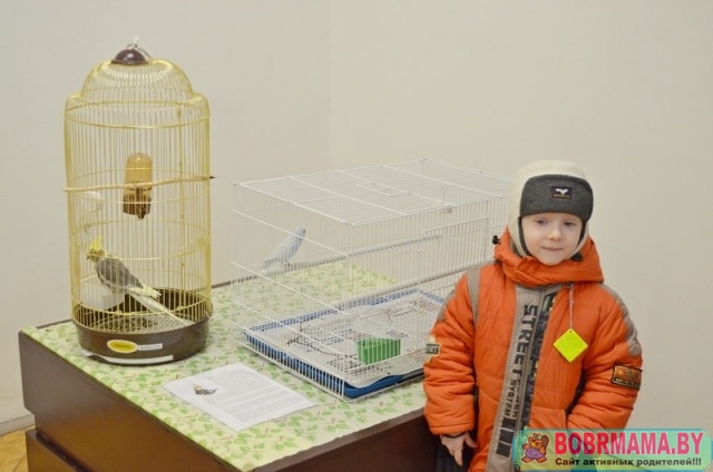 Выставка Попугаи_1