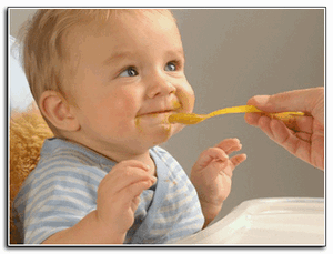 dokumenty-na-besplatnoe-pitanie