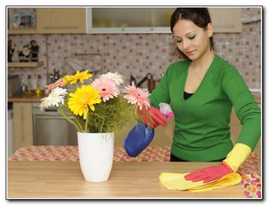 сайт антиклоп