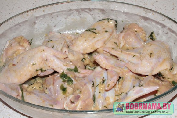 krylyshki v souse4
