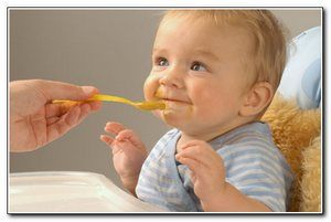 sroki-vvedeniya-ovoshey