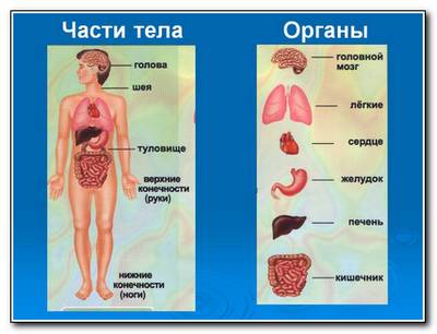 zagadki-pro-cheloveka-1