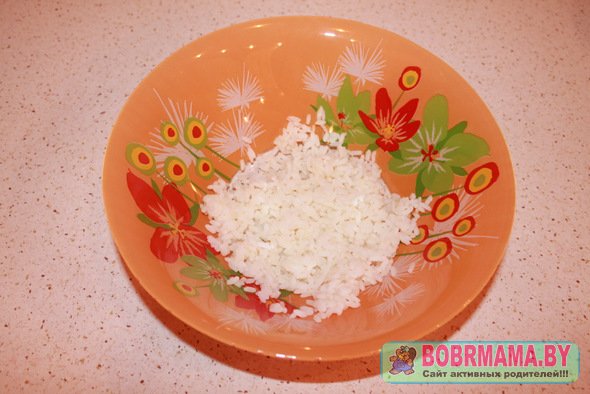 salat-s-kr-pal1