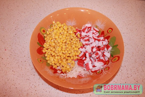 salat-s-kr-pal4