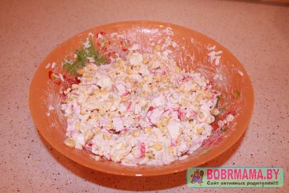 salat-s-kr-pal6